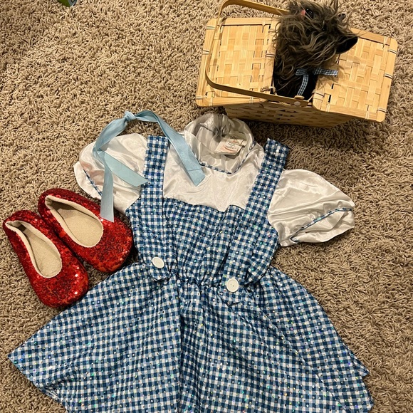 Wizard of Oz Costumes - Picture 2 of 5